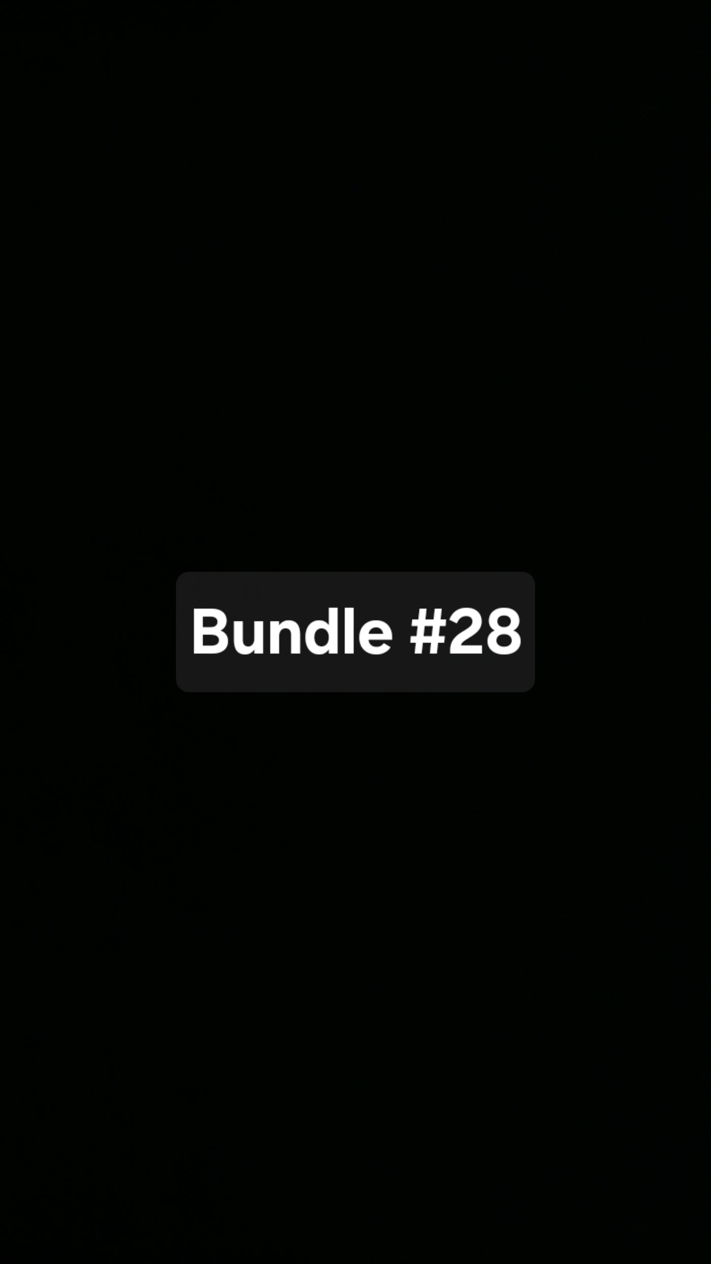 Bundle 28
